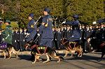 Dcim10771/DSC_3563