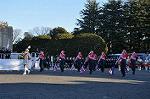 Dcim10771/DSC_3570