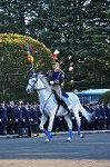 Dcim10771/DSC_3593