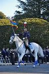 Dcim10771/DSC_3595