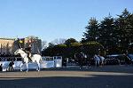Dcim10771/DSC_3598