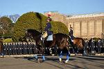 Dcim10771/DSC_3620