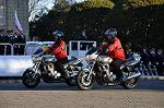 Dcim10773/DSC_3865