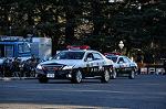 Dcim10773/DSC_3904