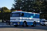 Dcim10774/DSC_3994