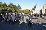 Dcim10776/DSC_4318