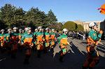 Dcim10776/DSC_4324