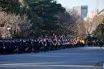 Dcim10776/DSC_4356