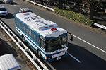 Dcim10776/DSC_4383