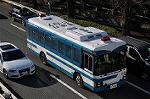 Dcim10776/DSC_4387