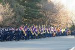Dcim10777/DSC_8986