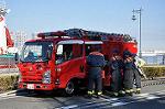 Dcim10778/DSC_4415