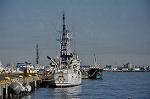 Dcim10778/DSC_4435