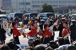 Dcim10780/DSC_4842
