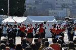 Dcim10781/DSC_4878