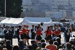 Dcim10781/DSC_4882