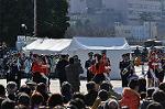 Dcim10781/DSC_4939