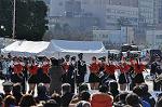 Dcim10781/DSC_4942
