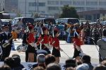 Dcim10781/DSC_4953