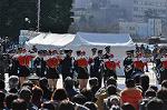 Dcim10781/DSC_4960