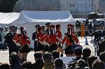 Dcim10782/DSC_5041