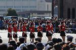 Dcim10782/DSC_5045