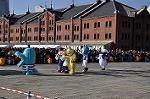 Dcim10786/DSC_5794