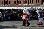 Dcim10786/DSC_5805