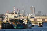 Dcim10788/DSC_6118