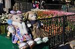 Dcim10796/DSC_7033