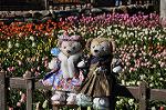 Dcim10796/DSC_7037