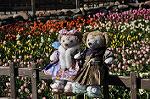 Dcim10796/DSC_7038