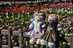 Dcim10796/DSC_7040
