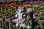 Dcim10796/DSC_7041