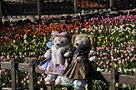 Dcim10796/DSC_7042