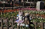 Dcim10796/DSC_7047