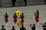 Dcim10798/DSC_7345