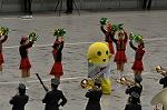 Dcim10798/DSC_7352