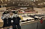 Dcim10804/DSC_8133