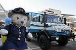 Dcim10804/DSC_8172