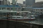 Dcim10804/DSC_8234