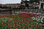 Dcim10807/DSC_8469