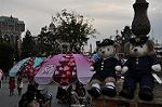 Dcim10807/DSC_8512