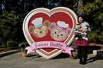 Dcim10818/DSC_0019
