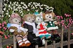 Dcim10818/DSC_0115