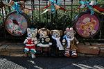 Dcim10819/DSC_0158