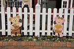 Dcim10822/DSC_0604