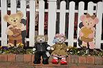 Dcim10822/DSC_0617