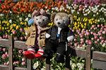 Dcim10823/DSC_0673