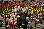 Dcim10823/DSC_0676